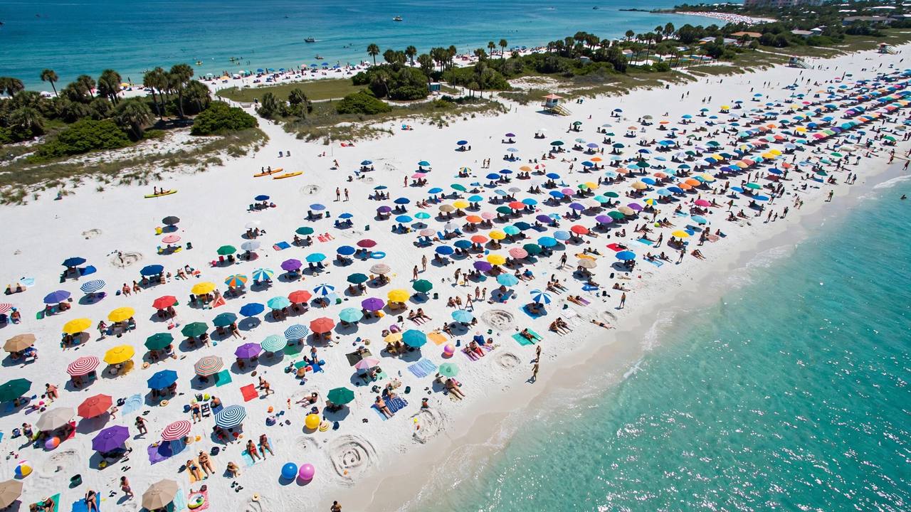 Beach From Above